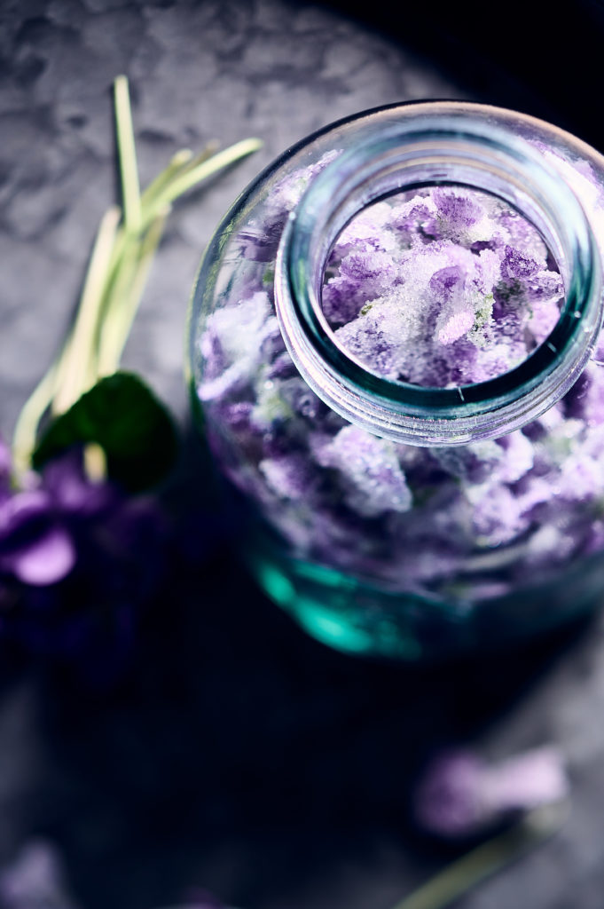 Recette de violettes de Toulouse cristallisées