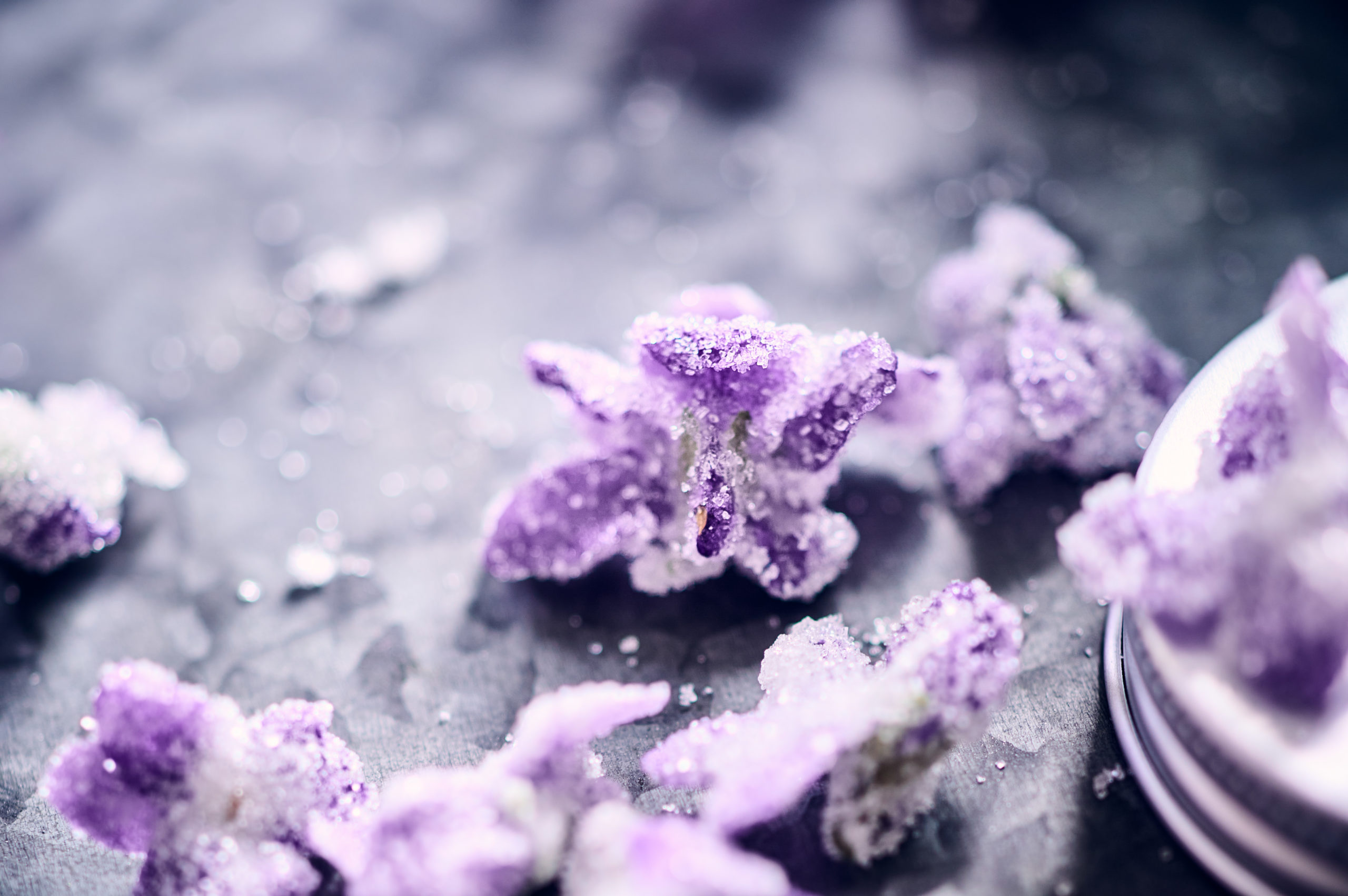 Violettes cristallisées